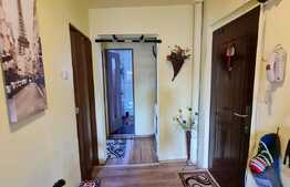 2 camere, 56 mp, mobilat, 2 garaje, zona Gheorghe Dima