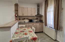 Apartament 2 camere 46 mp, zona Garii