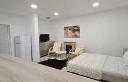 Apartament 2 camere 46 mp, zona Garii
