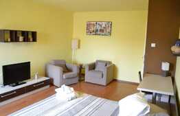 Apartament 1 camera, decomandat, 42mp, balcon, A.C., pet friendly, zona Lidl Marasti