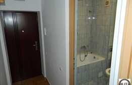 Vanzare apartament 1 camera, 33 mp utili, mobilat si utilat, 5 minute de Centru!