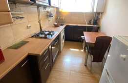 Apartament 3 camere, 55 mp, pet friendly, zona str. Donath