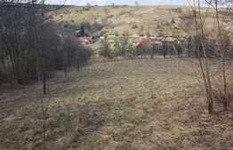 Teren intrav. cu casa, 13800 mp, front 40 m,Utilitati la front, sat Suceagu