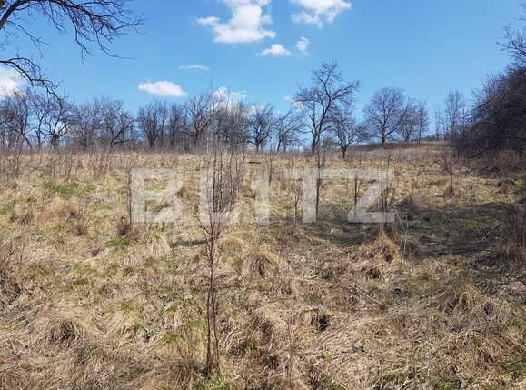 Teren de vânzare Exterior Vest - 63138TV | BLITZ Cluj-Napoca | Poza1