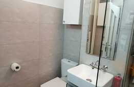 Apartament 3 camere in Piata Marasti