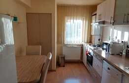 Apartament 2 camere, zona Napolact 