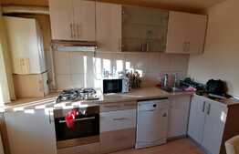 Apartament 2 camere, zona Napolact 