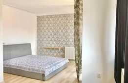 Duplex cu 10 camere, 2 terase, 7 parcari, zona strazii Campului