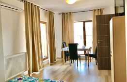 Duplex cu 10 camere, 2 terase, 7 parcari, zona strazii Campului