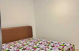 Duplex cu 10 camere, 2 terase, 7 parcari, zona strazii Campului