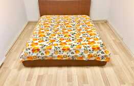 Duplex cu 10 camere, 2 terase, 7 parcari, zona strazii Campului