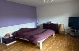 4 camere la cheie, cu scara interioara, 130 mp, zona Teilor!