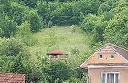 Casa cu 4850 mp teren, Schei Brasov