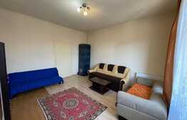 Apartament cu 1 camera, Central, 42mp, decomandat, zona Facultatii de Litere