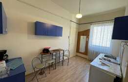 Apartament cu 1 camera, Central, 42mp, decomandat, zona Facultatii de Litere