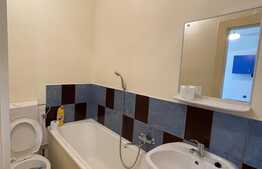 Apartament cu 1 camera, Central, 42mp, decomandat, zona Facultatii de Litere