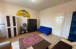 Apartament cu 1 camera, Central, 42mp, decomandat, zona Facultatii de Litere