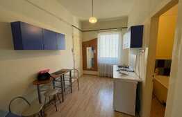 Apartament cu 1 camera, Central, 42mp, decomandat, zona Facultatii de Litere