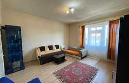Apartament cu 1 camera, Central, 42mp, decomandat, zona Facultatii de Litere