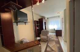Apartament cu 1 camera, decomandat, 24mp, zona Calea Turzii