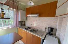 Apartament cu 1 camera, decomandat, 24mp, zona Calea Turzii