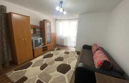 Apartament 1 camera, 28 mp si balcon, zona Big Manastur