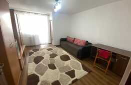 Apartament 1 camera, 28 mp si balcon, zona Big Manastur