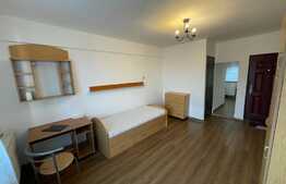 Apartament cu 1 camera, semidecomandat, 24mp, zona Bulgaria 