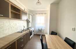 Apartament  2 camere decomandate,52 mp, Parcare subterana,Dambul rotund, Pet friendly 