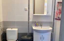 Apartament  2 camere decomandate,52 mp, Parcare subterana,Dambul rotund, Pet friendly 