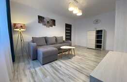 Apartament de inchiriat cu doua camere decomandate, 50 mp, zona Fantanele, Grigorescu