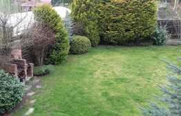 Casa luminoasa, cu piscina, 230 mp, teren 460 mp, panorama excelenta si expunere vestica!