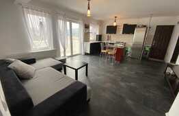 Apartament 3 camere , 56 mp, Petfriendly, Priveliste frumoasa, Parcare, Zona Vivo!