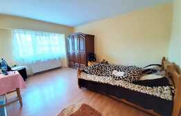 Apartament cu 3 camere, decomandat, 76 mp, Pet friendly, zona strazii Observatorului