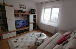 Apartament 2 camere, 45 mp renovat si utilat recent ! 