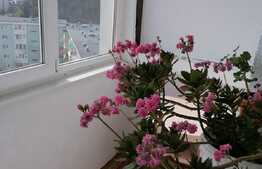 Apartament de 2 camere, langa Spitalul Judetean, partial mobilat