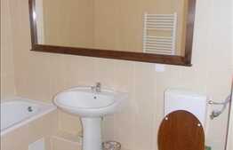 Inchiriere apartament 1 camera, zona Piata Cipariu!