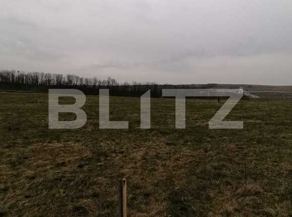 Teren de vânzare Sopor - 63310TV | BLITZ Cluj-Napoca | Poza2