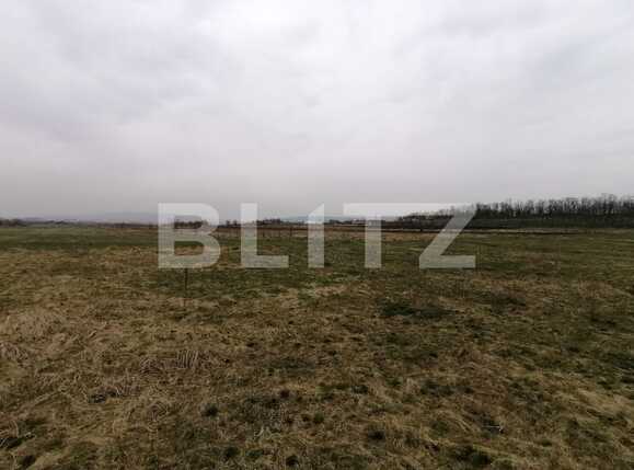 Teren de vânzare Sopor - 63310TV | BLITZ Cluj-Napoca | Poza3