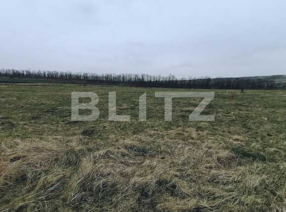 Teren de vânzare Sopor - 63310TV | BLITZ Cluj-Napoca | Poza4