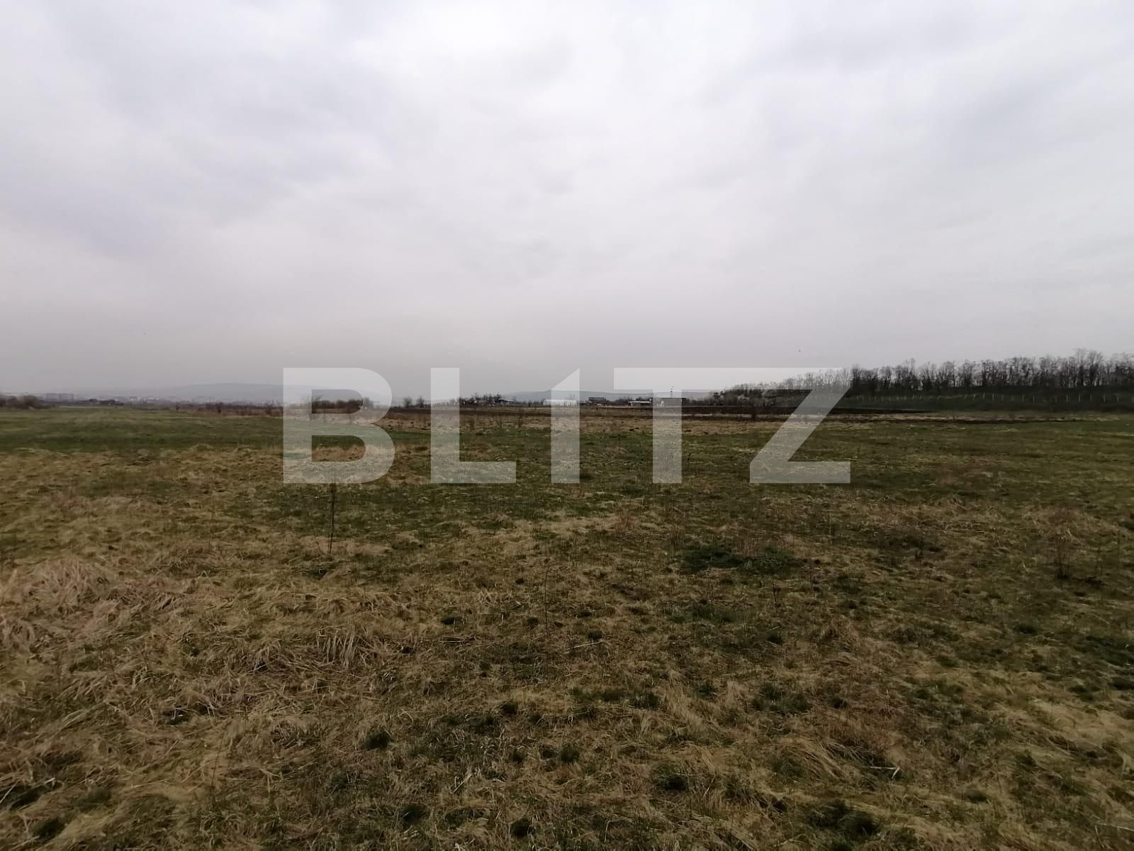 Teren de vânzare Sopor - 63310TV | BLITZ Cluj-Napoca | Poza3