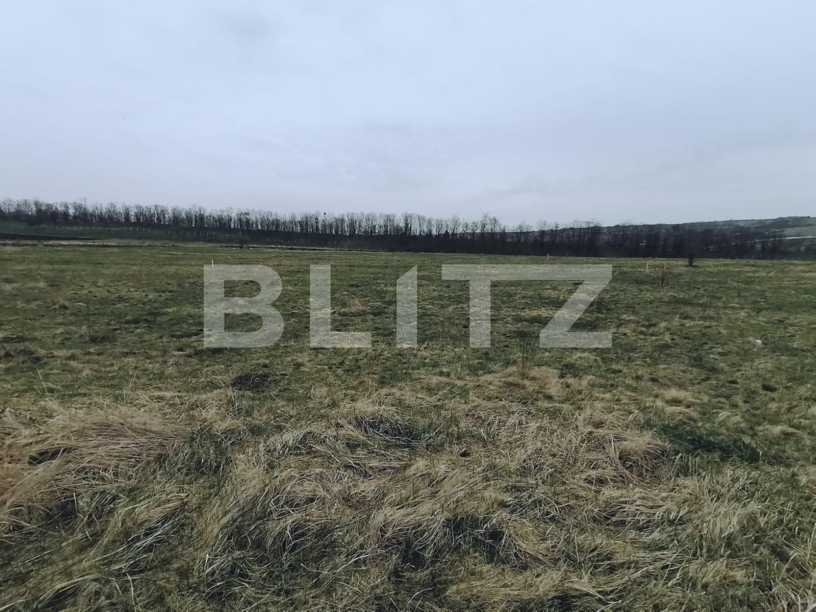 Teren de vânzare Sopor - 63310TV | BLITZ Cluj-Napoca | Poza4