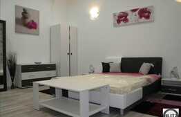 1 camera, 45 mp utili, prima inchiriere, zona Casei de Cultura, totul nou!