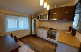 3 camere, la cheie, 60 mp., pod 43 mp.,  zona Somesului