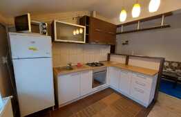 3 camere, la cheie, 60 mp., pod 43 mp.,  zona Somesului