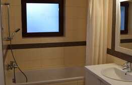 Duplex de vanzare, 133 mp utili, 185 mp teren, Someseni