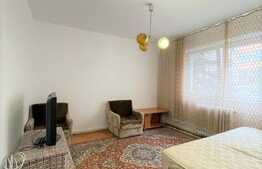 2 camere, decomandat, 50 mp, pet friendly, zona Aleea Micus