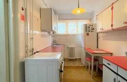 2 camere, decomandat, 50 mp, pet friendly, zona Aleea Micus