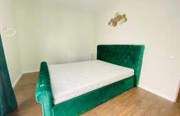 Duplex la prima inchiriere, doua parcari, curte privata, zona Wonderland