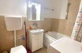 1 camera, 25 mp, pet friendly, zona Spitalului de Recuperare